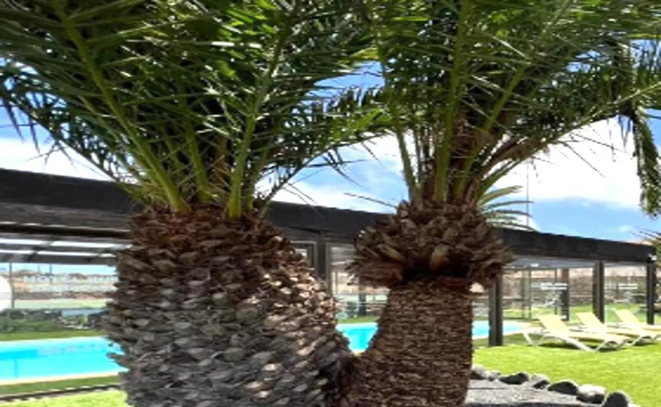Villaverde  Bonito Alojamiento Con Piscina Wifi Villaverde (Fuerteventura)